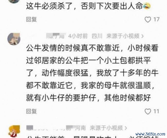 男子被自家牛多次顶翻致肋骨断裂 妻子抡锄头施救